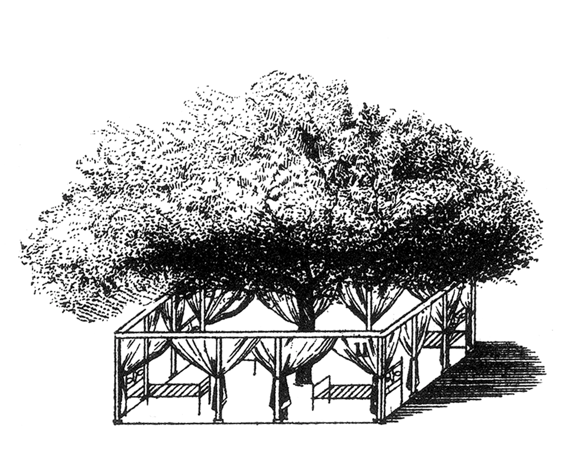Arquitectura, Natureza e Amor
