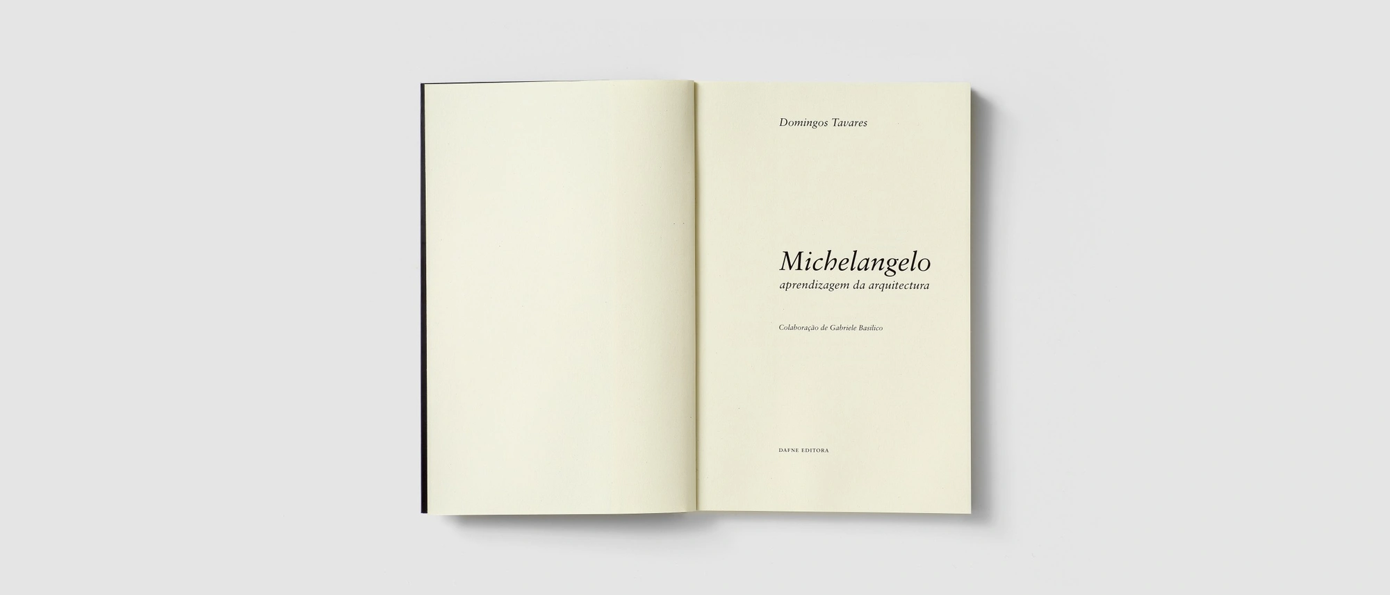 Michelangelo